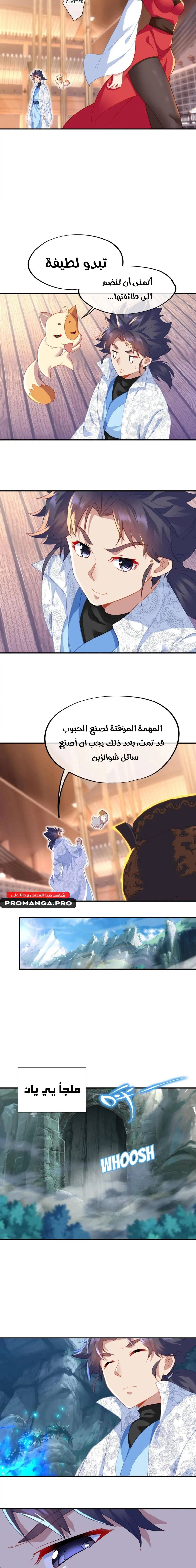 Chapter Image 4