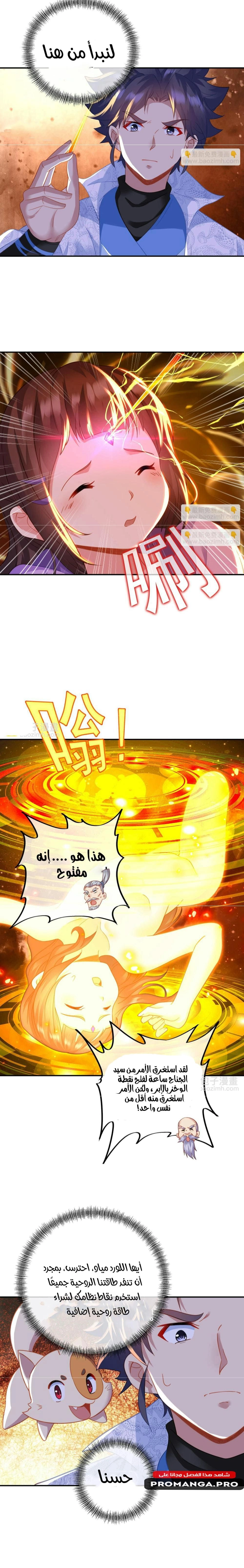 Chapter Image 5
