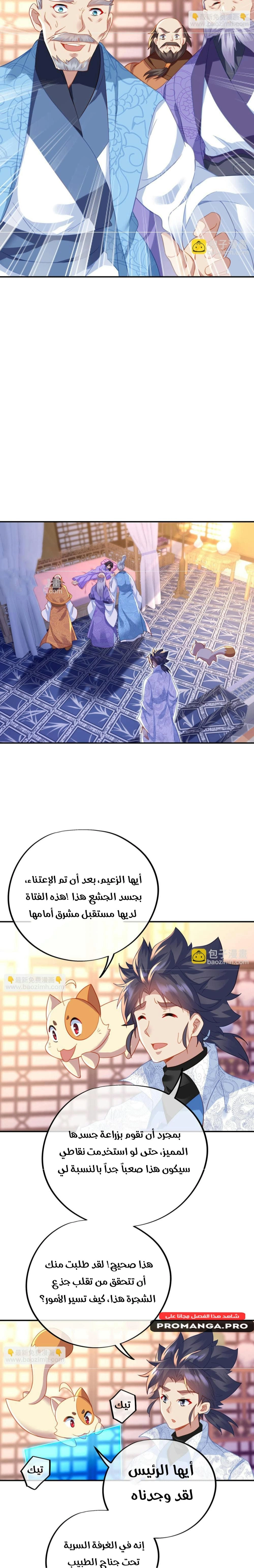 Chapter Image 5
