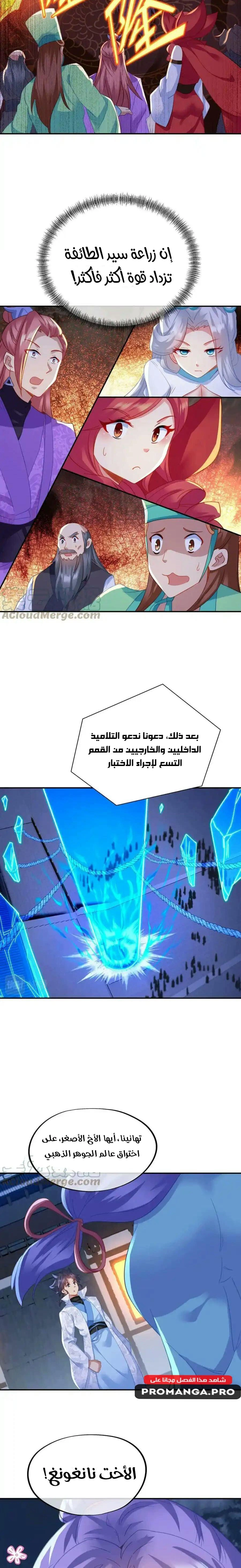 Chapter Image 5