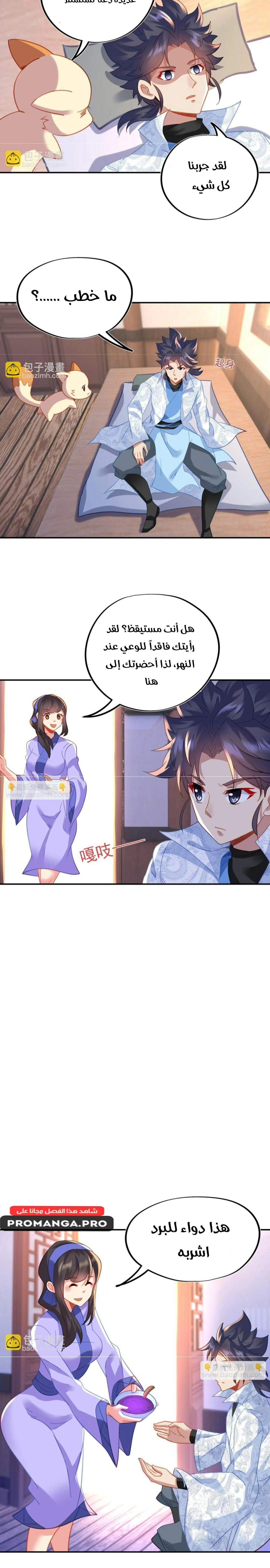 Chapter Image 11