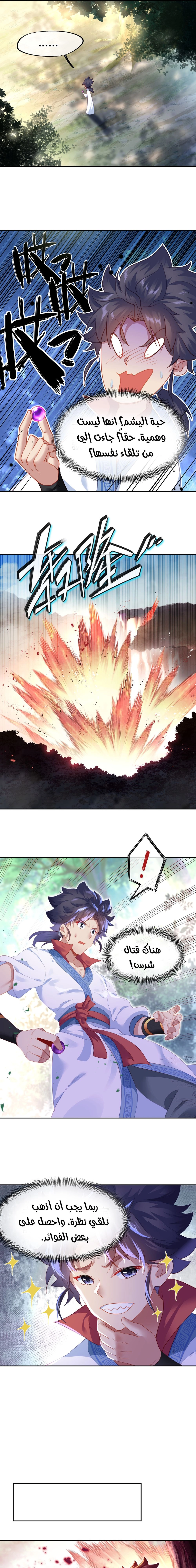 Chapter Image 5