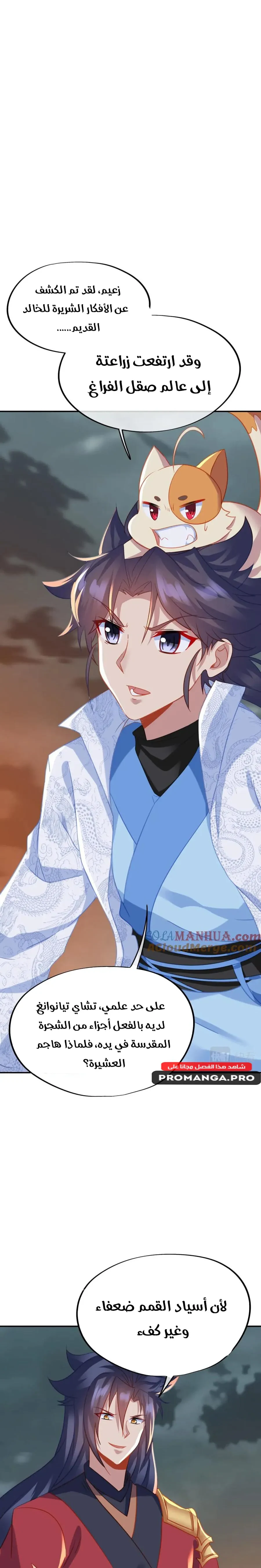 Chapter Image 5