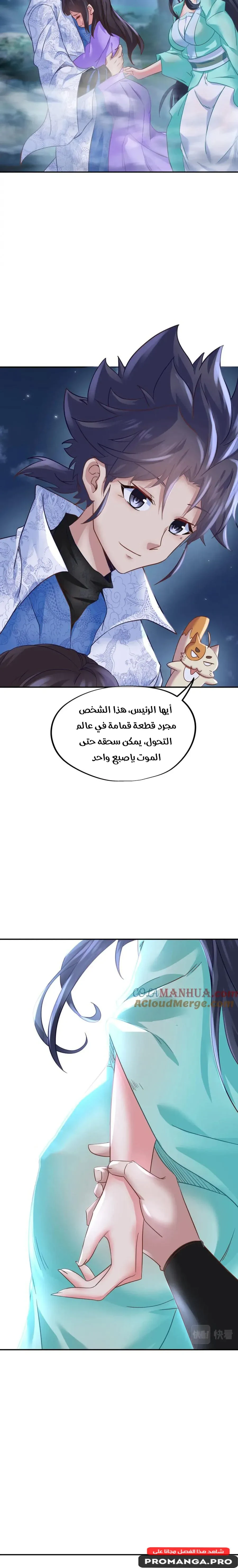 Chapter Image 5