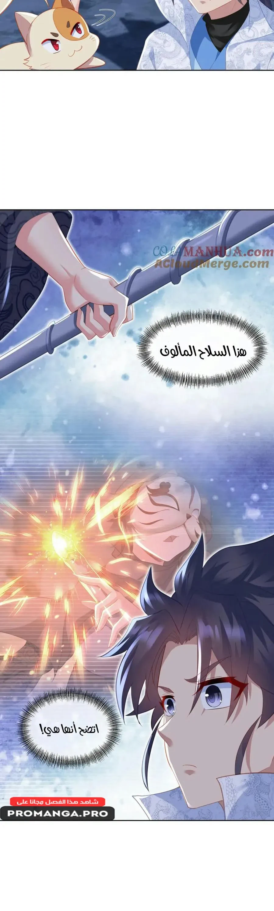 Chapter Image 11