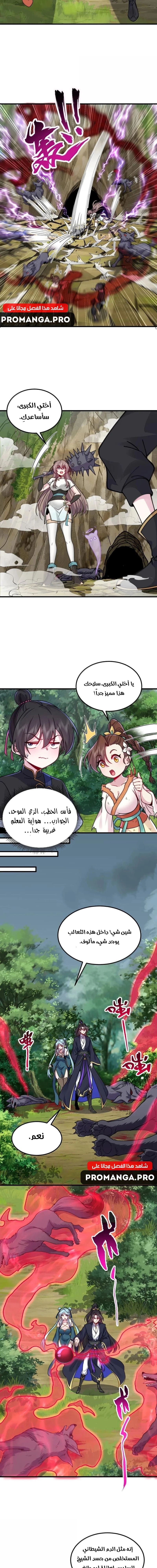 Chapter Image 4
