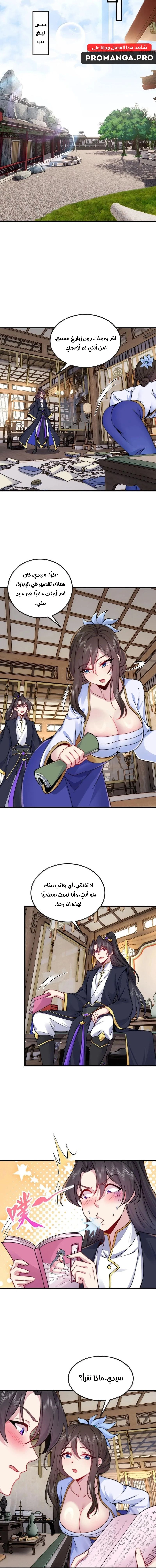 Chapter Image 4