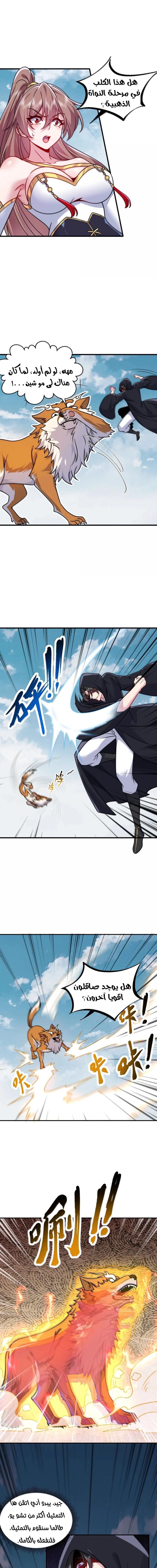 Chapter Image 5