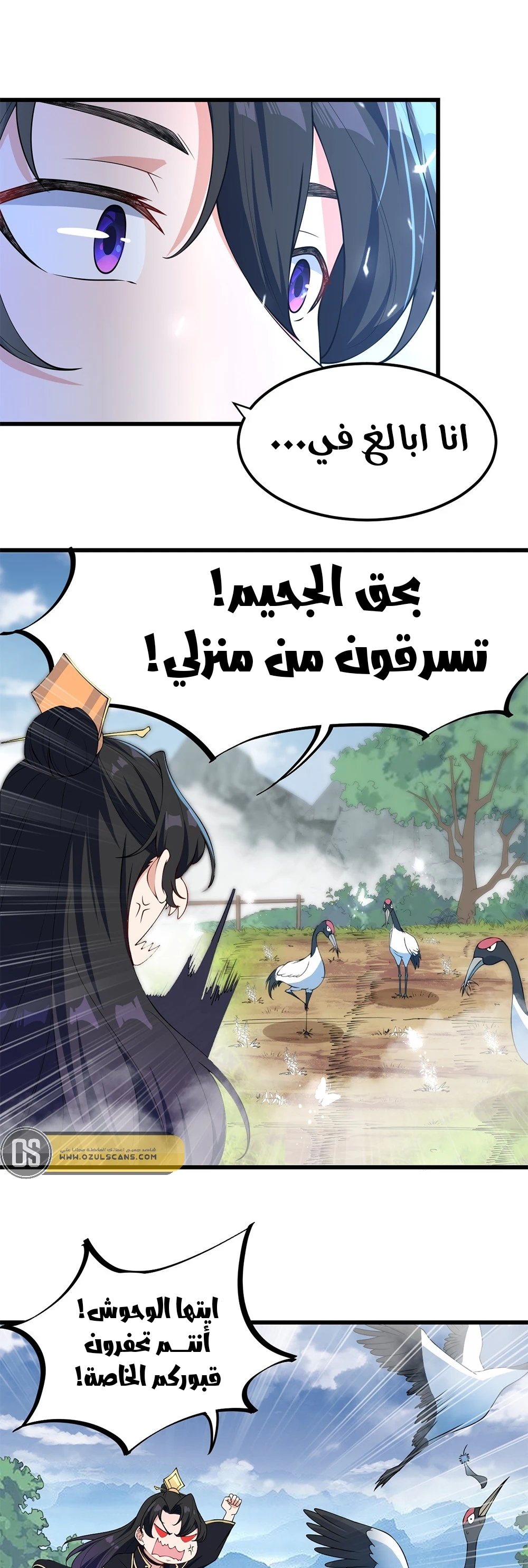 Chapter Image 19