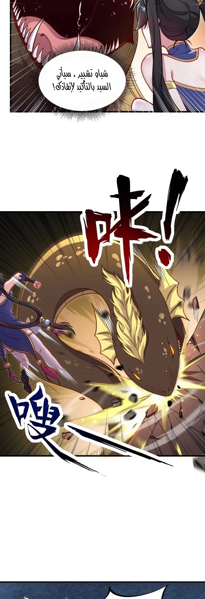 Chapter Image 5