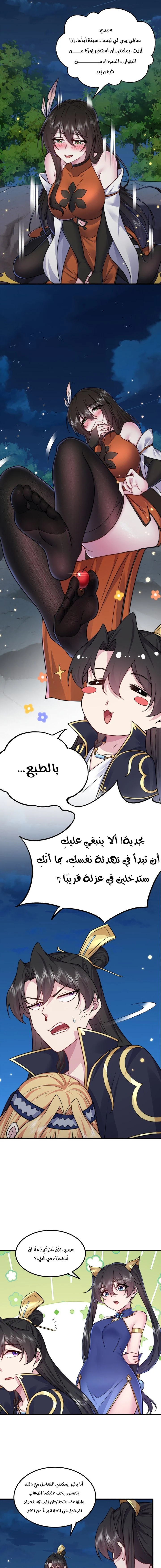 Chapter Image 4