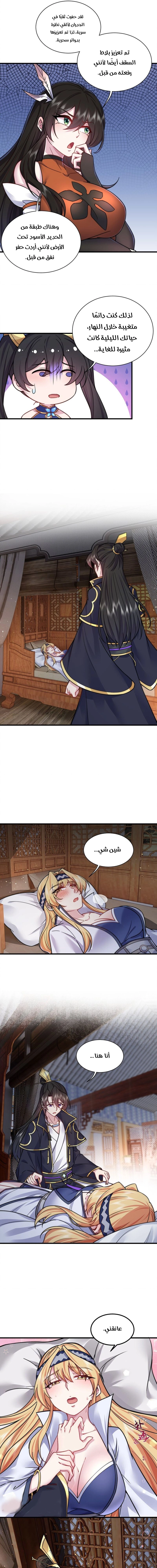 Chapter Image 5