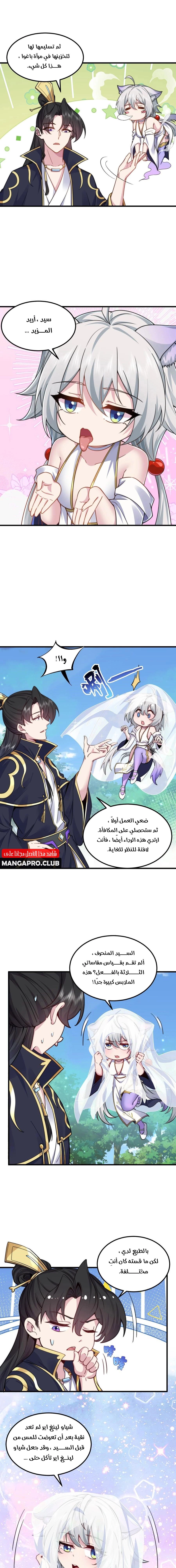 Chapter Image 5