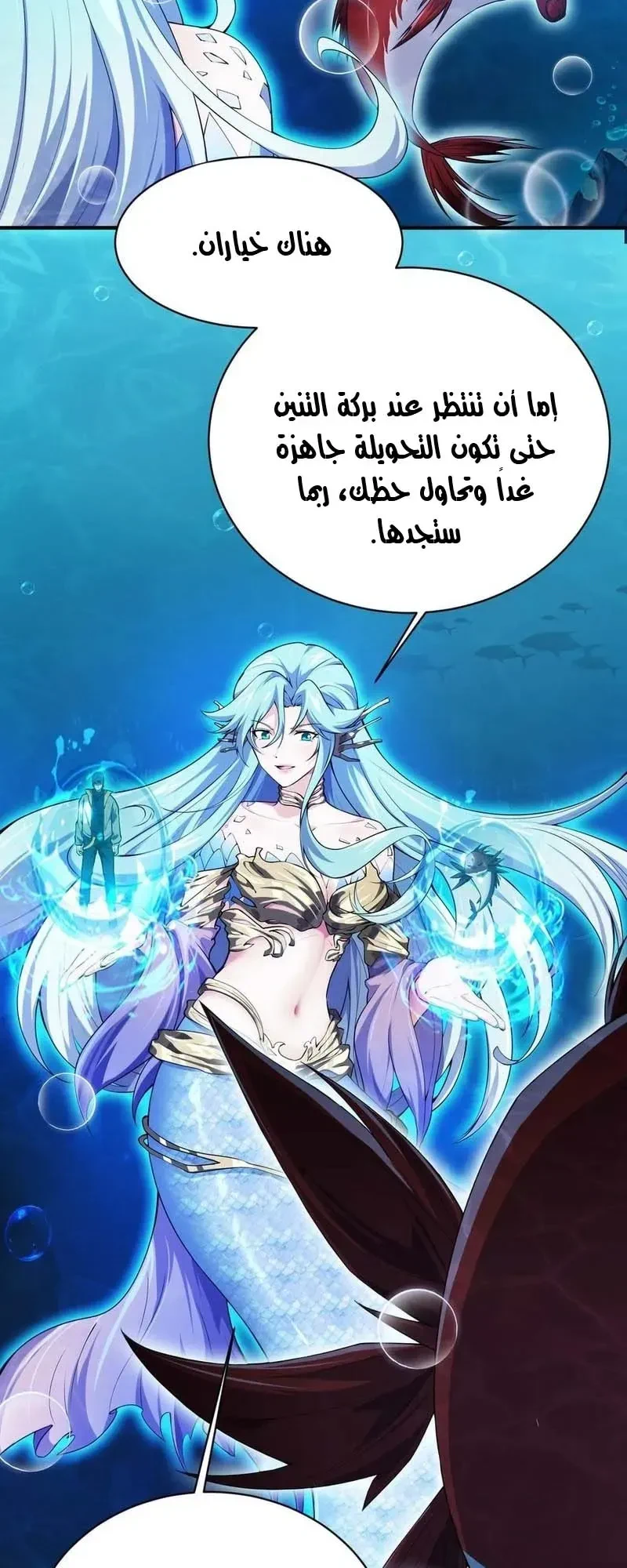 Chapter Image 2