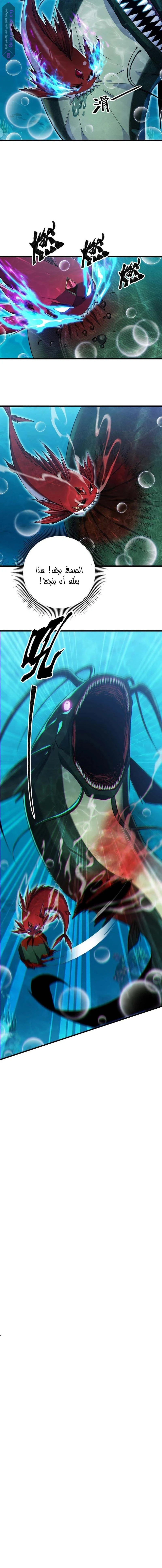 Chapter Image 17