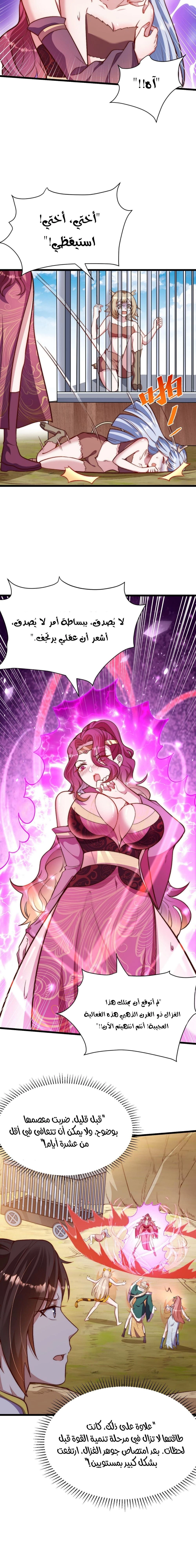 Chapter Image 7