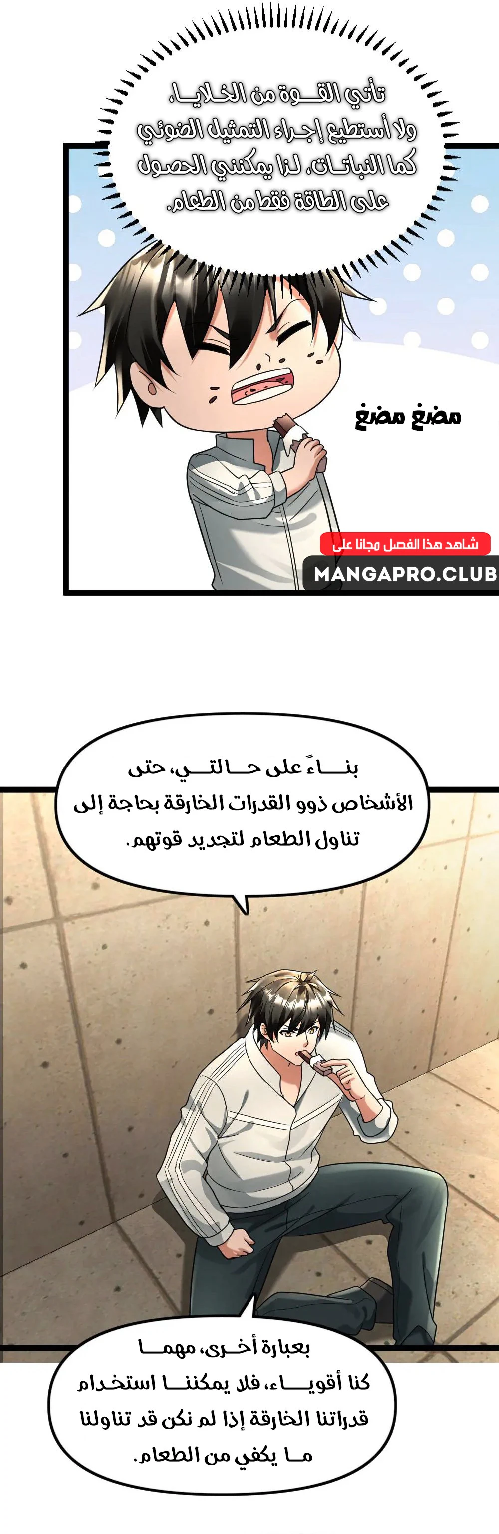 Chapter Image 7