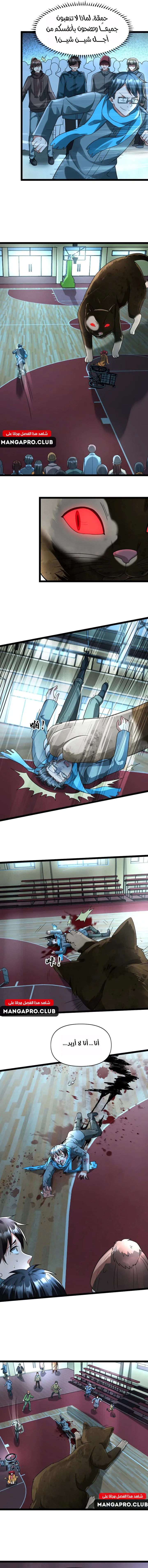 Chapter Image 4
