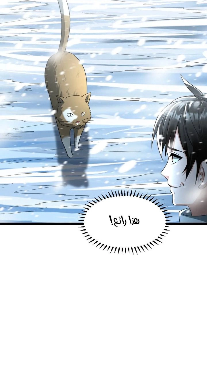 Chapter Image 5