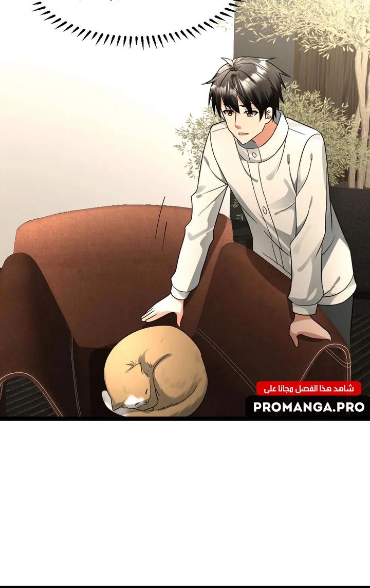 Chapter Image 7