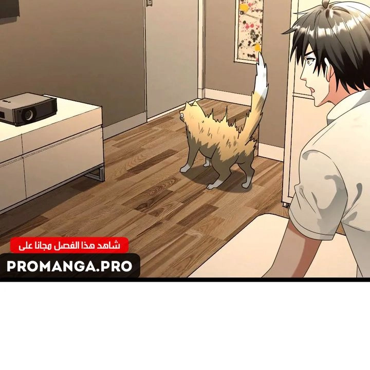 Chapter Image 3