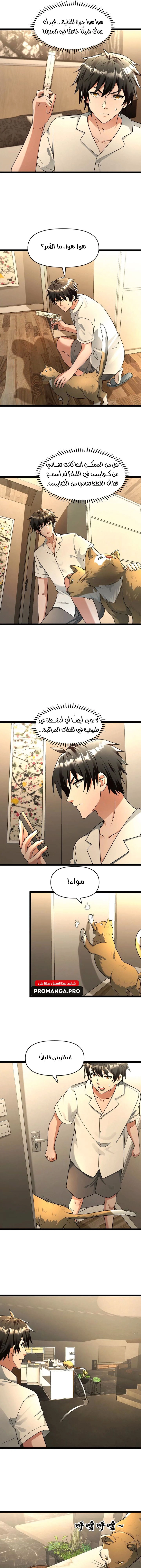 Chapter Image 4