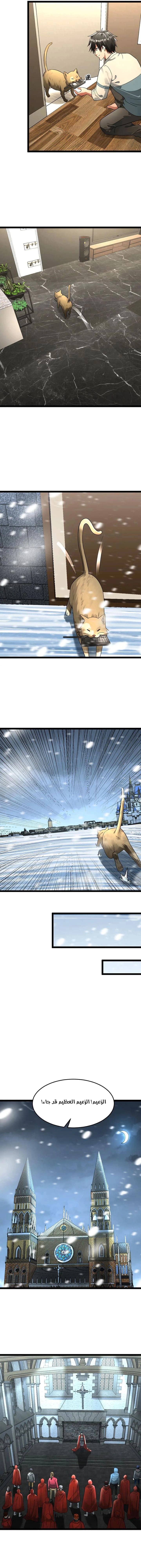 Chapter Image 4