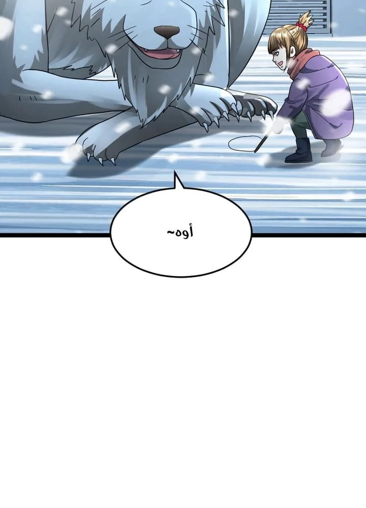 Chapter Image 4