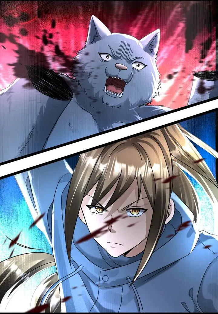Chapter Image 5
