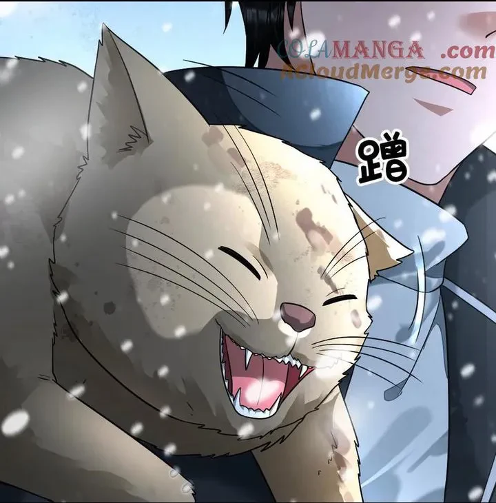 Chapter Image 17