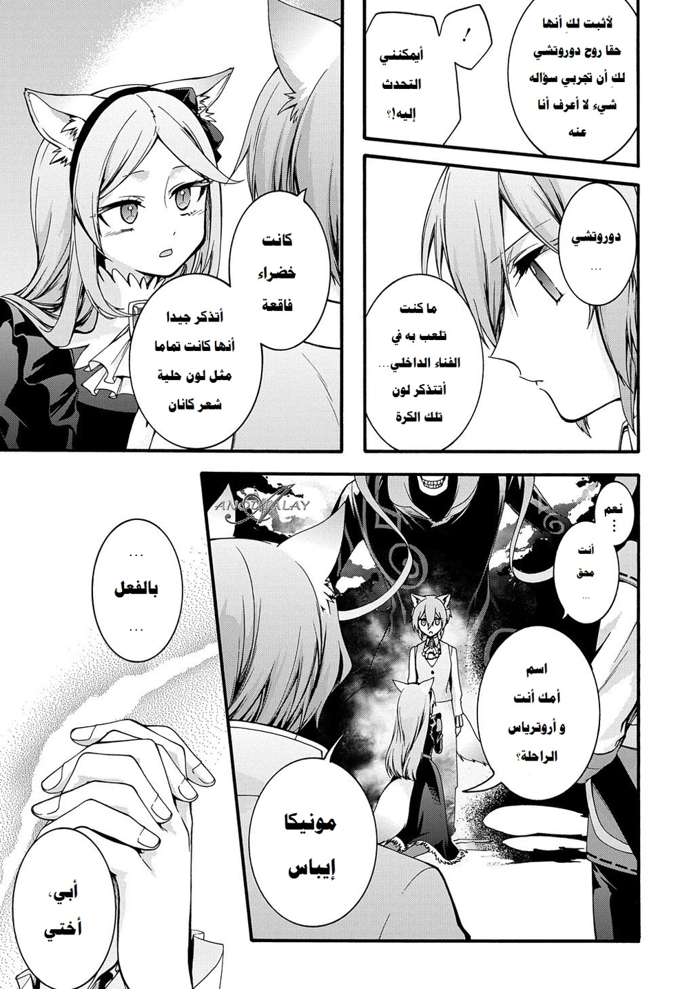 Chapter Image 11