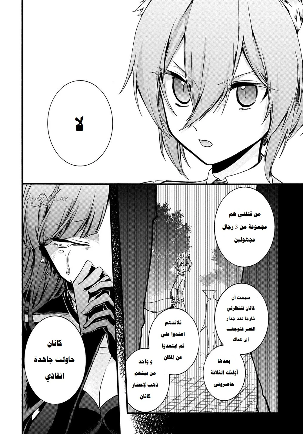 Chapter Image 14