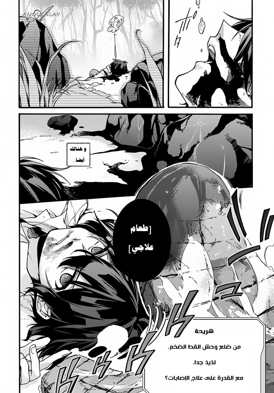 Chapter Image 15