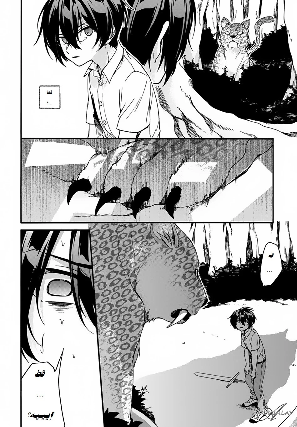 Chapter Image 5