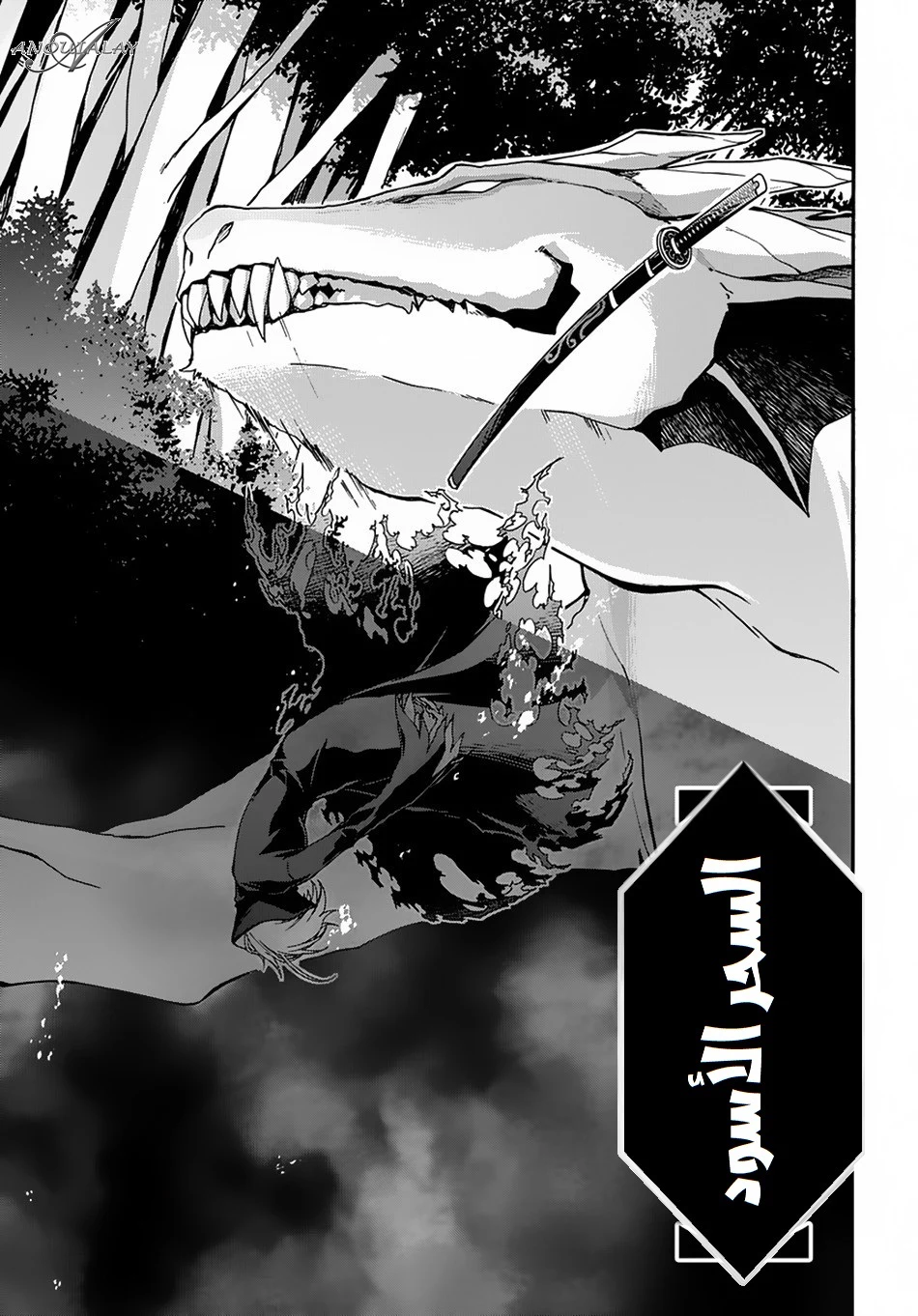 Chapter Image 3