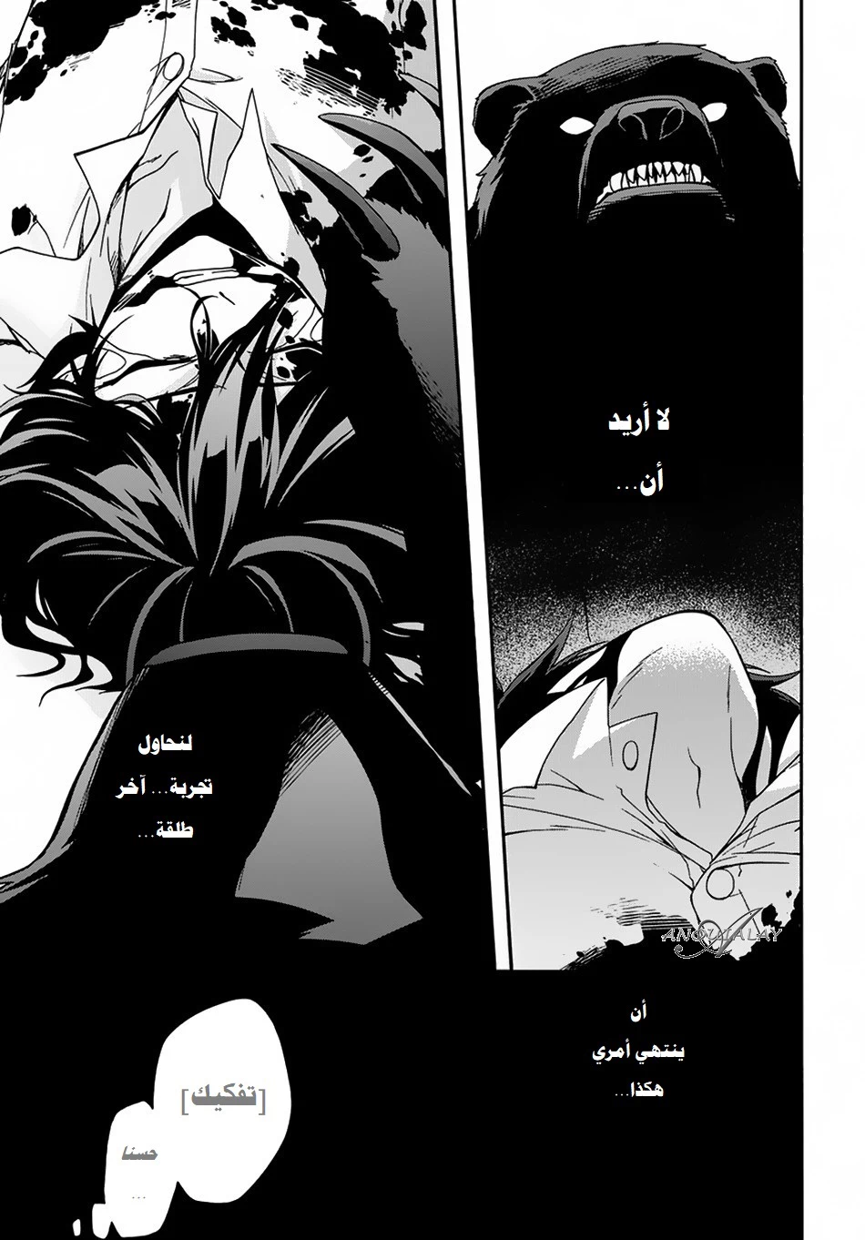 Chapter Image 14