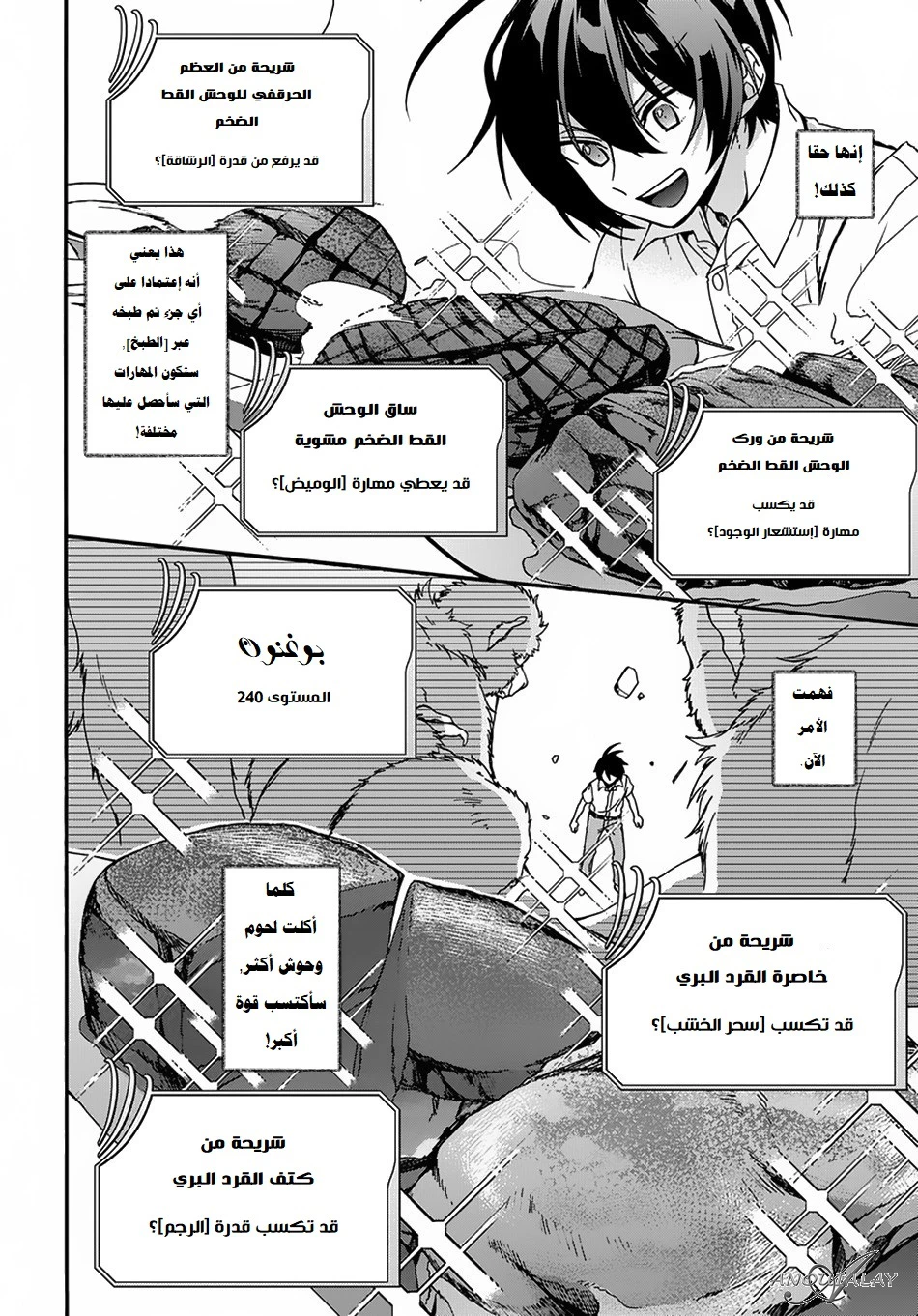 Chapter Image 5