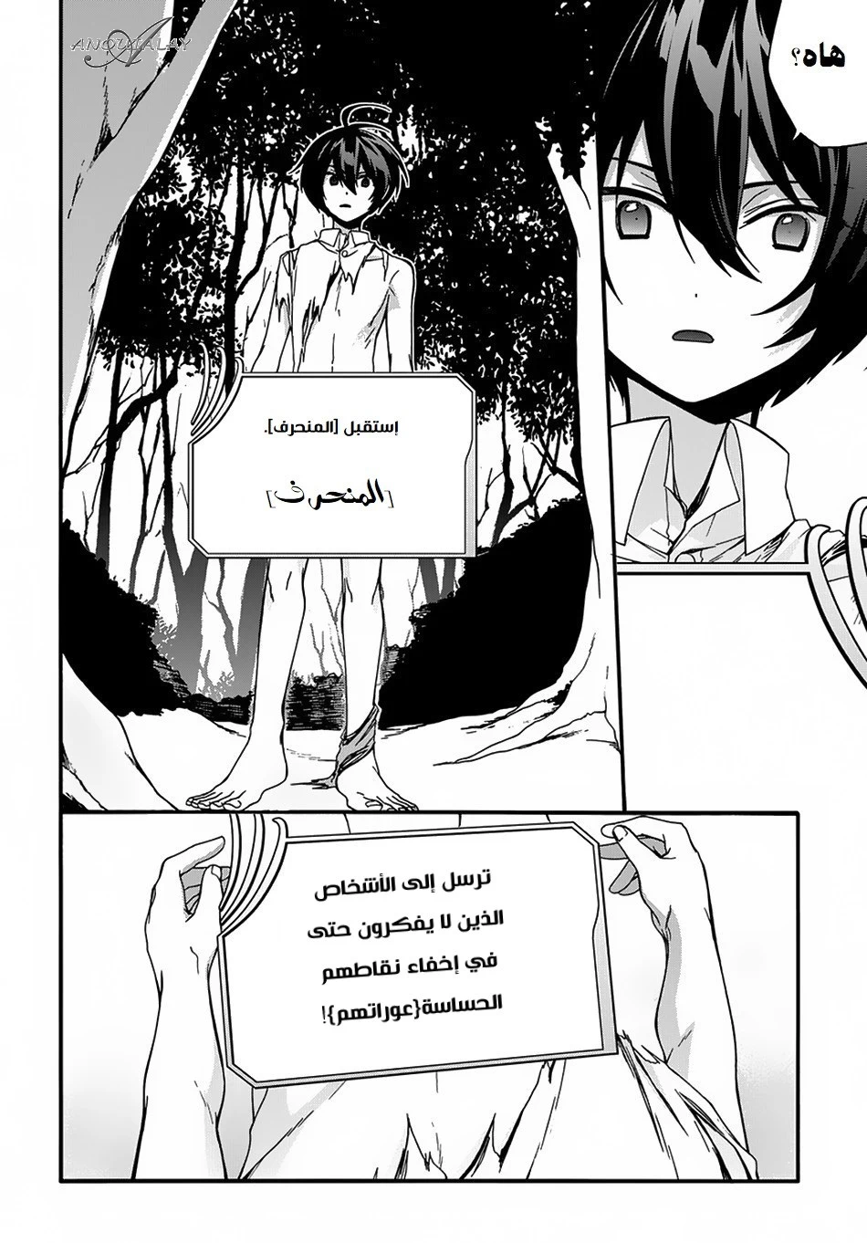 Chapter Image 4