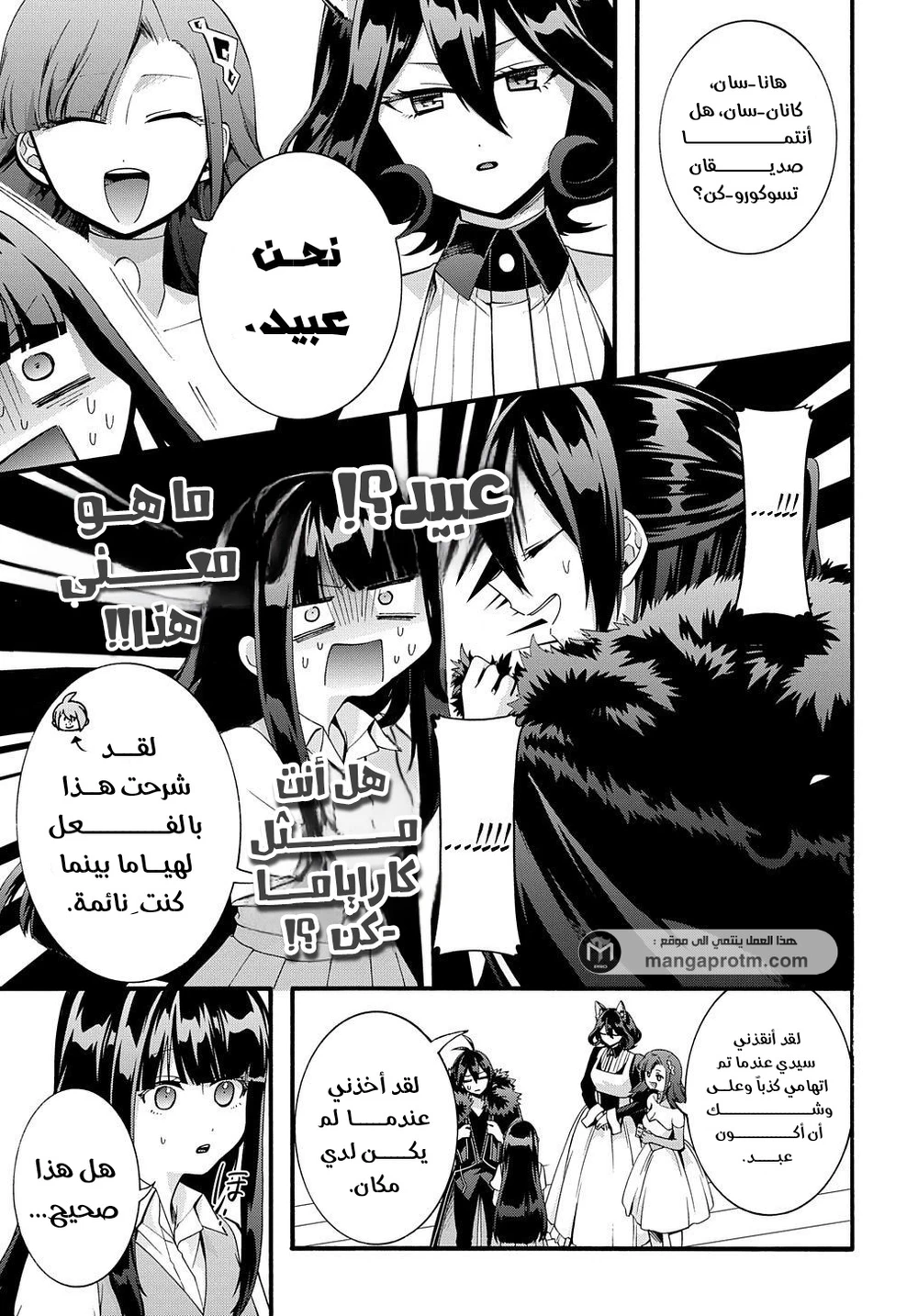 Chapter Image 11