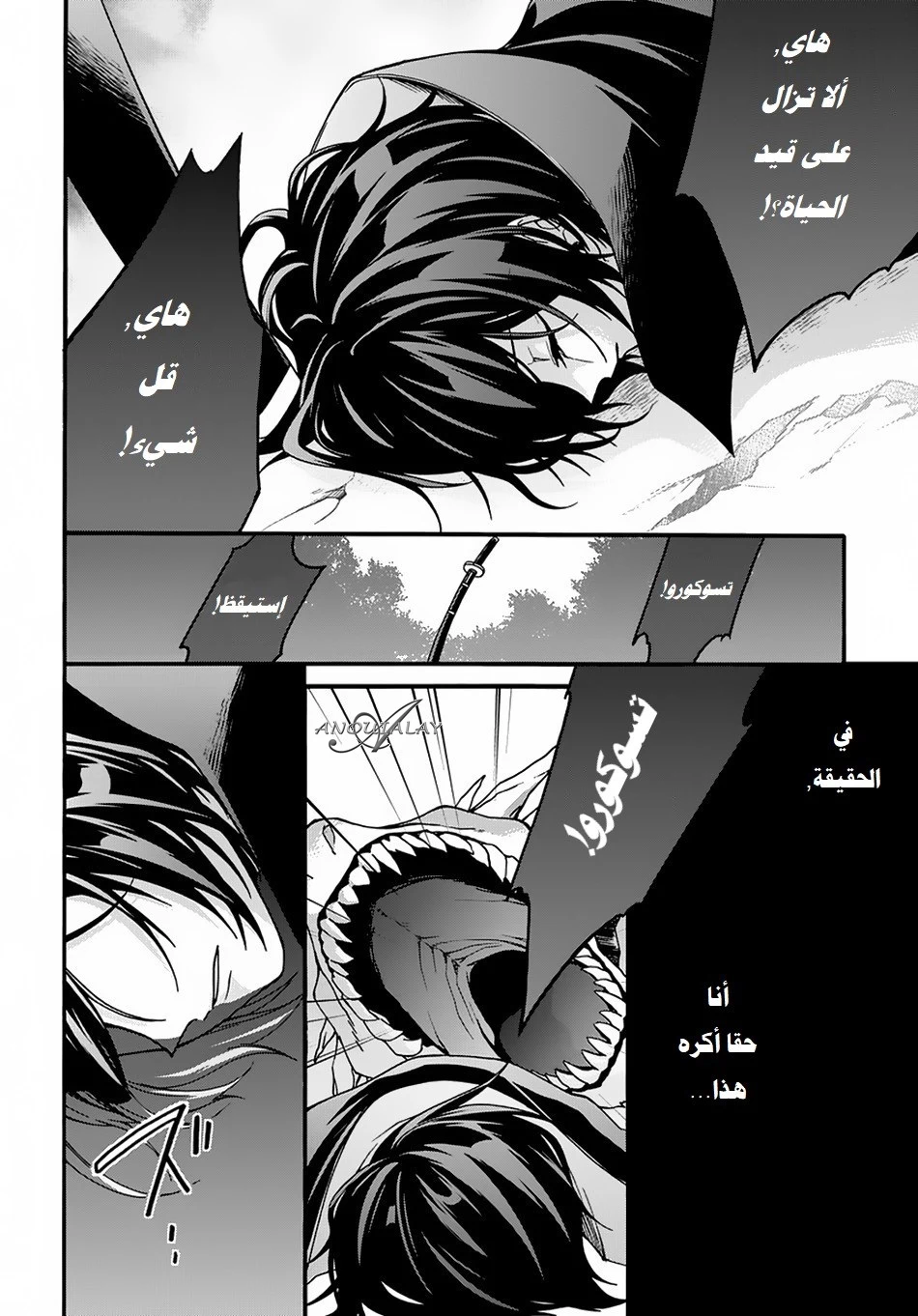 Chapter Image 2