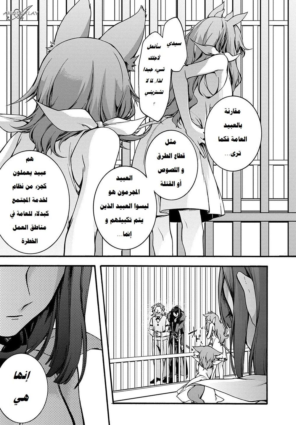 Chapter Image 12