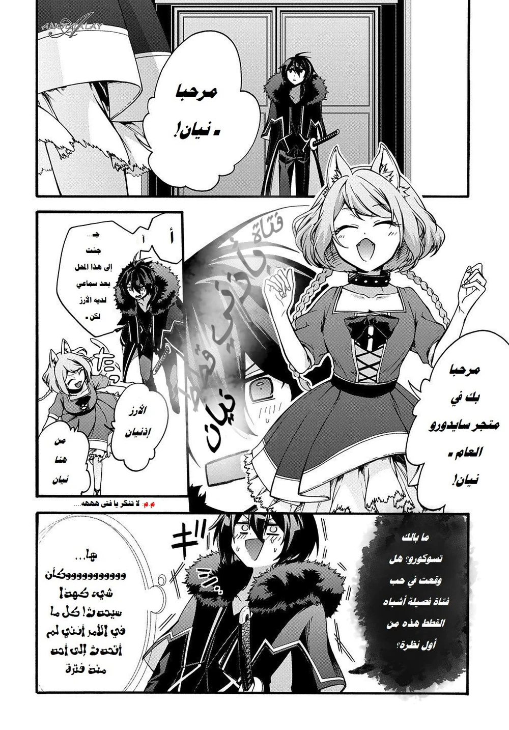 Chapter Image 5