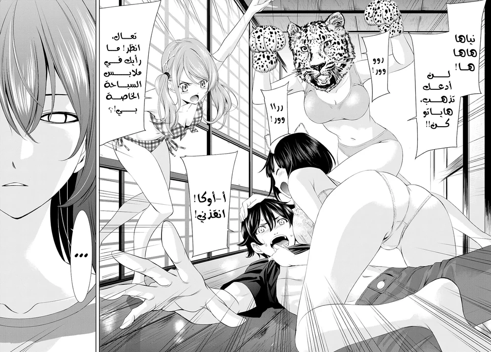 Chapter Image 8