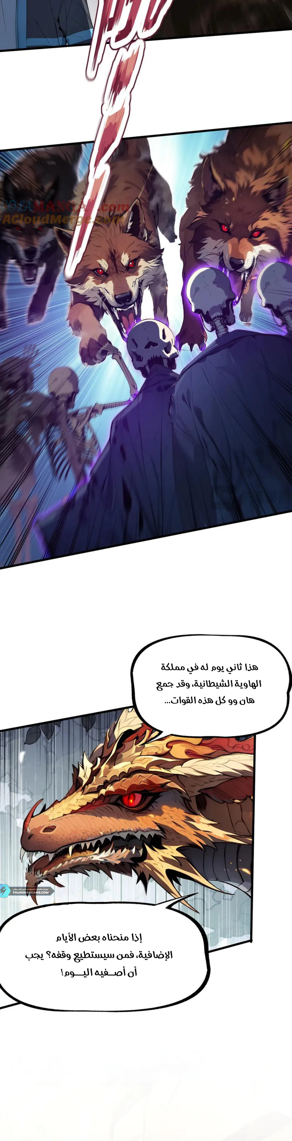 Chapter Image 3