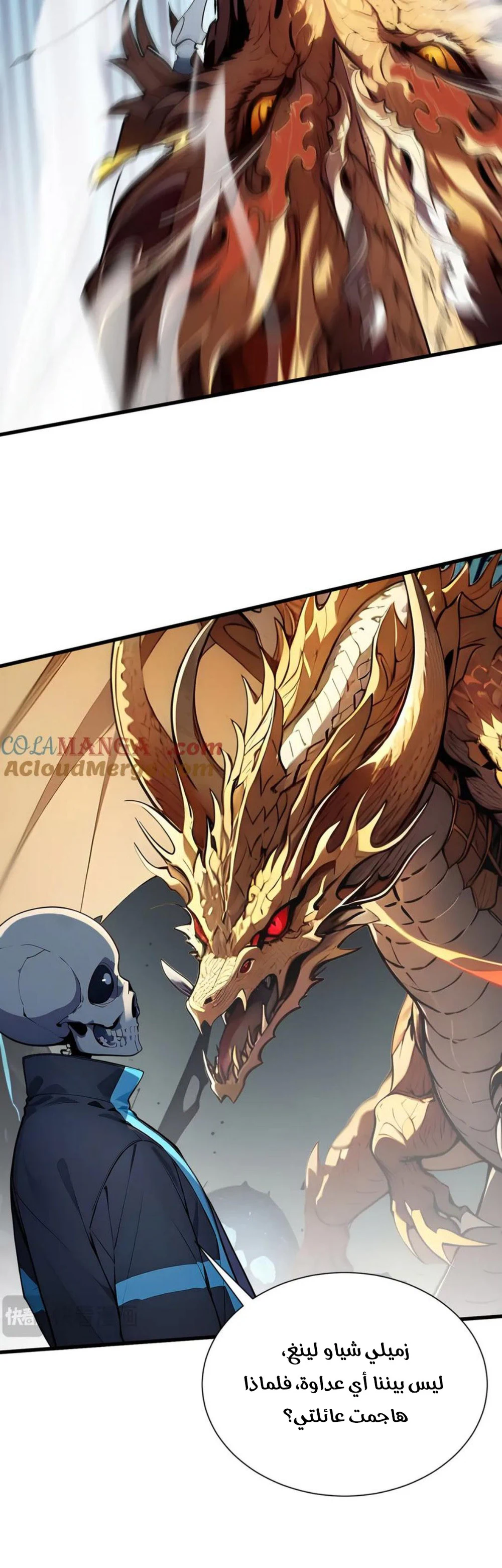 Chapter Image 5
