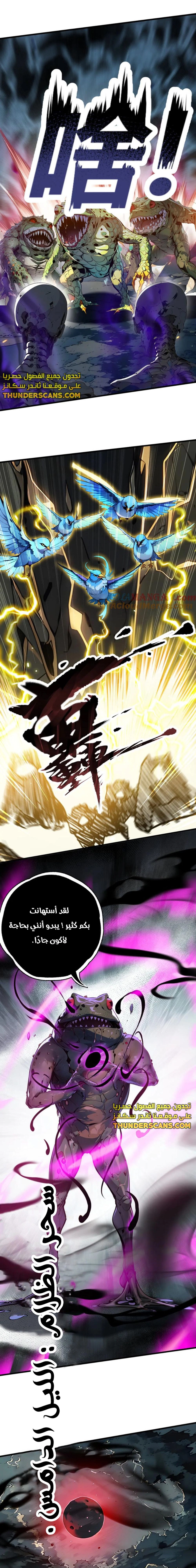 Chapter Image 11