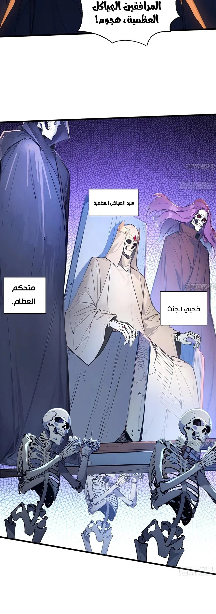 Chapter Image 9
