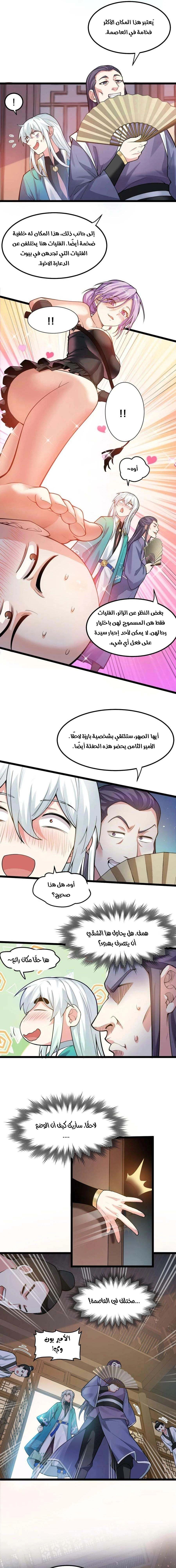 Chapter Image 4