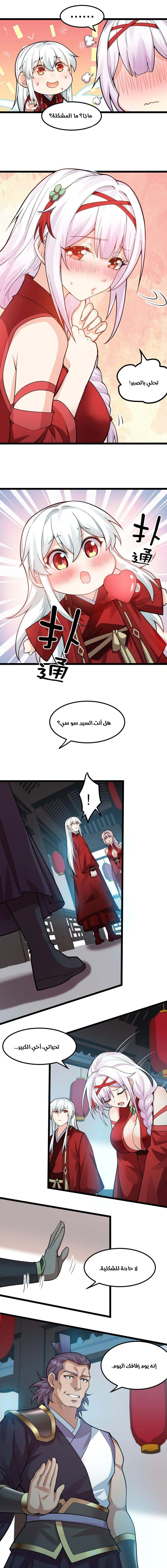 Chapter Image 5