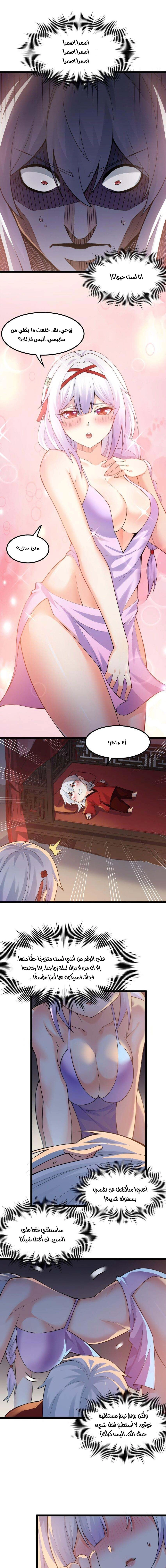 Chapter Image 3